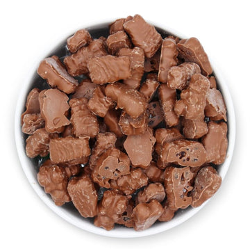 Sweetgourmet Milk Chocolate Covered Gummy Bears | Cherry, Orange, Pineapple, Strawberry/Banana | 1 Pound