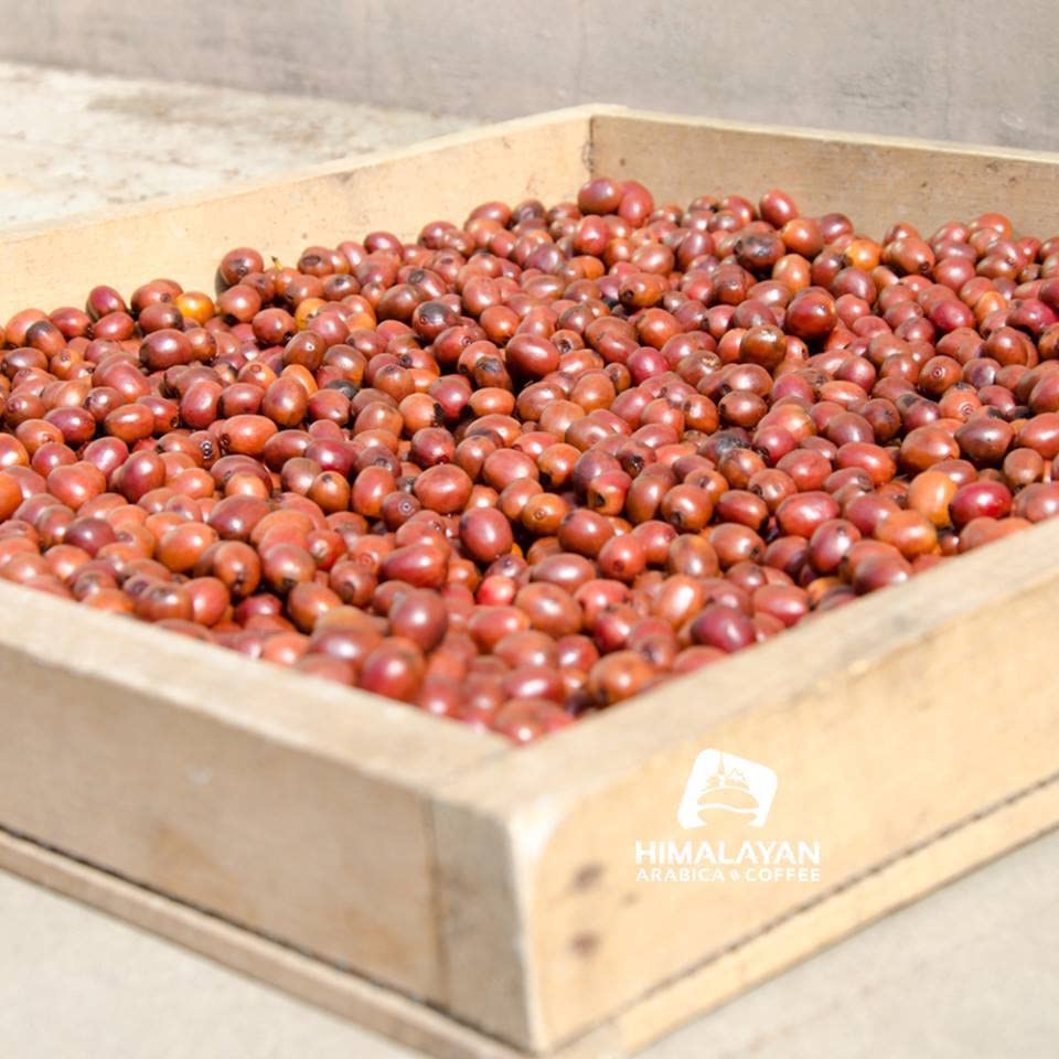 Authentic Nepali Timur Ko Chhop Szechuan Pepper Pickle Mixed Of Spices & Red Chilly Powder That Gives Natural Typical Nepali Fla