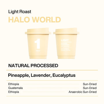 Saturnbird Coffee Instant Cold Brew, Light Roast (No.1), 100% Arabica Coffee Powder, Enjoy Cold/Hot, 24 Single Serves Perfect Fo