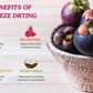 NOKKI FARM Freeze Dried Mangosteen 50g | Superfood, 100% Natural, No Sugar Added, Vegan, Non-GMO, Crispy Fruits