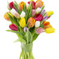 KaBloom Flowers - Mother's Day Collection - Bouquet of 20 Assorted Tulips with Vase Gift for Birthday, Sympathy, Anniversary, Ge