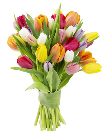 KaBloom Flowers - Mother's Day Collection - 30 Assorted Tulips Without Vase. Gift for Birthday, Sympathy, Anniversary, Get Well,
