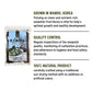 UNHAS ASIAN SNACK BOX Korean Wild Kombu Dried Kelp 3.52oz - 100% Natural Sea  Soup Base, Hand Harvested, Product of Korea