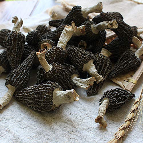 Zhanyunmaoyi Jumbo Dried Morel Mushrooms Premium Quality 100g (3.5oz) Model 00096 FBA