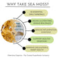 Irish Sea Moss From Ireland | Wildcrafted | Chondrus Crispus | Raw Irish Moss | Golden