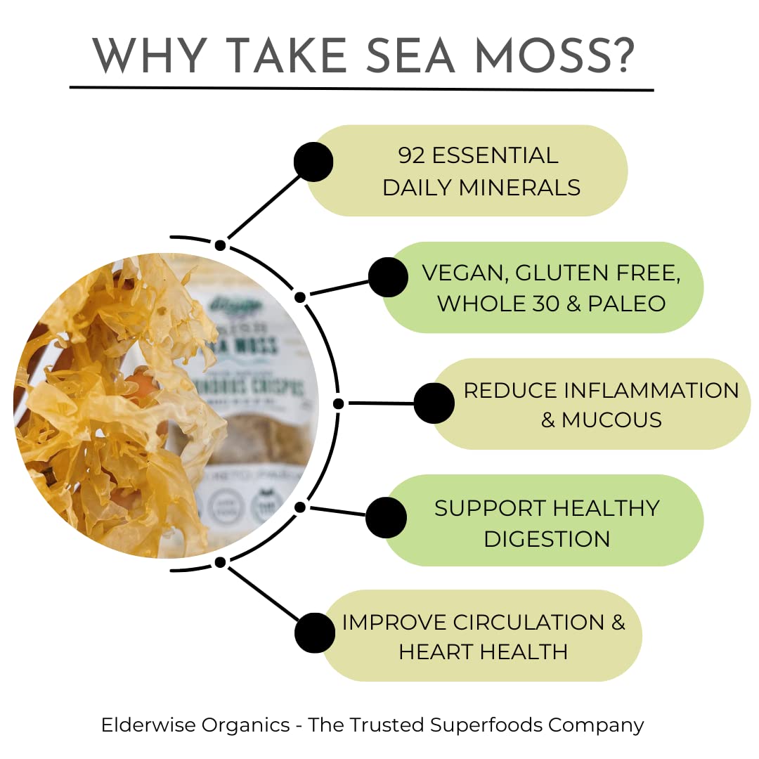 Irish Sea Moss From Ireland | Wildcrafted | Chondrus Crispus | Raw Irish Moss | Golden