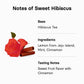 Osulloc Sweet Hibiscus (Lemon & Cinnamon Flavor), Decaffeinated Herbal Tea, Relaxing Fruit Blended Hibiscus Tea, Premium Tea Bag