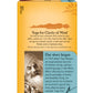 Yogi Relaxed Mind Tea - 16 Tea Bags