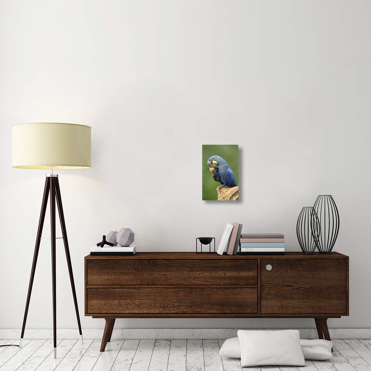 Hyacinth Macaw In Cerrado Habitat Eating Piassava Palm Nuts, Brazil-Canvas Art-12''X18''