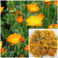 Traverse Bay Soap Company Calendula Flowers - 8oz Soap Making Supplies for Extracts, Tinctures, Teas, Salves, Creams, Lotions, Lip Balms