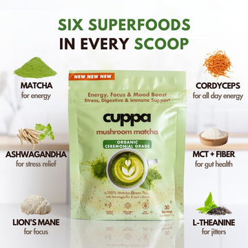 Cuppa Healthy Mushroom Matcha - Energy & Focus Drink with Lion's Mane & Ashwagandha, 30 Servings, Nootropics for Brain & Gut Health