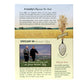 Flahavan's Irish Oatmeal - 16 oz