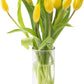 KaBloom Flowers -Valentine's Day Collection - 10 Yellow Tulips with vase, Gift for Birthday, Sympathy, Anniversary, Get Well, Th