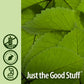 Natures Answer Slippery Elm Extract  2000 mg  2 fl oz (60 ml)