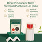 Vahdam, Unitea Black Tea Leaves +170 Cups,12Oz  Blend Of Darjeeling Tea & Assam Tea  Robust & Flavory Black Tea Loose Leaf  Unbl