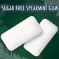 ECLIPSE Spearmint Back to School Sugar Free Chewing Gum, 180 Ct