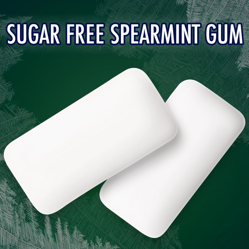 ECLIPSE Spearmint Back to School Sugar Free Chewing Gum, 180 Ct
