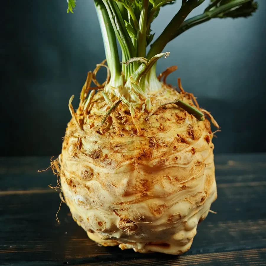 Park Seed, Mars' Organic Celeriac Seeds, Pack of 100 Seeds