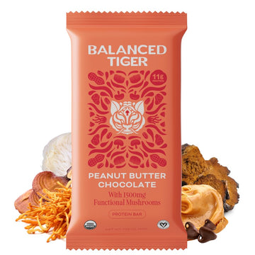 Organic Functional Mushroom Vegan Protein Bars | Made In Usa | Full Dose (1500Mg) Lions Mane, Chaga, Reishi & Cordyceps Bars | P