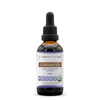 Secrets of the Tribe Organic Coriander Extract - Alcohol-Free Herbal Drops, 2 Fl Oz
