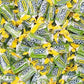 Green Apple Jolly Ranchers Hard Candy Bulk - Individually Wrapped All Green Jolly Ranchers Only - by Queen City Candy Cave (2 Po