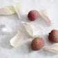 Teapigs Lychee & Rose Cold Brew Made With Whole Leaves (6 Packs Of 10 Tea Bags)