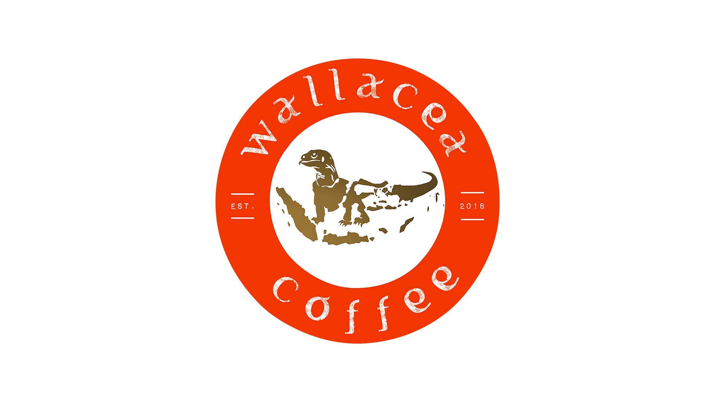 Wallacea Coffee Certified Wild Kopi Luwak Coffee Ground, Civet Coffee, Kopi Luwak From Gayo Sumatra Indonesia Low Acid Medium Dark Roast (8.8 Oz)