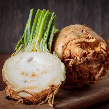 Park Seed, Mars' Organic Celeriac Seeds, Pack Of 100 Seeds