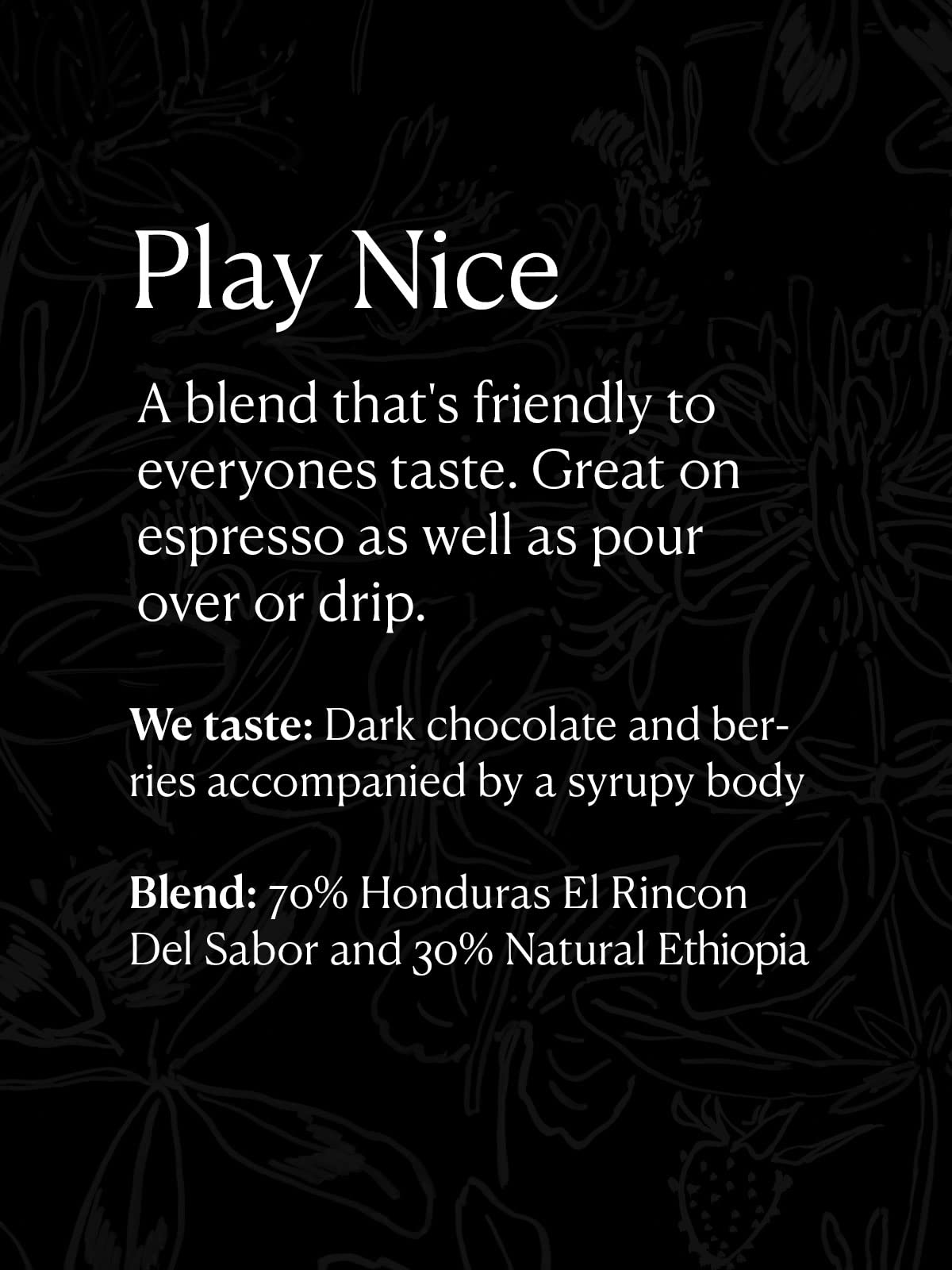 Methodical Coffee Whole Bean Coffee, 100% Arabica, Smooth Light Roast, 12 Oz.