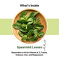 BLUE TEA Spearmint Herbal Tea - 100 Plant-Based Pyramid Tea Bags - Caffeine Free - Refreshing Flavor - Ziplock Pouch