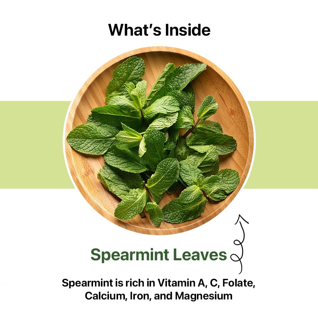 BLUE TEA Spearmint Herbal Tea - 100 Plant-Based Pyramid Tea Bags - Caffeine Free - Refreshing Flavor - Ziplock Pouch