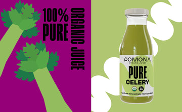 Pomona Organic Juices Pure Celery Juice  8.4 Ounce Bottle (Pack of 12)  Cold Pressed Organic Juice  Non-GMO  No Sugar Added  Not from Concentrate  Gluten Free  Kosher Certified  Preservative Free
