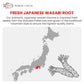 Nordic Catch Fresh Japanese Wasabi Root with Steel Shark Grater - Full Portion - Silver