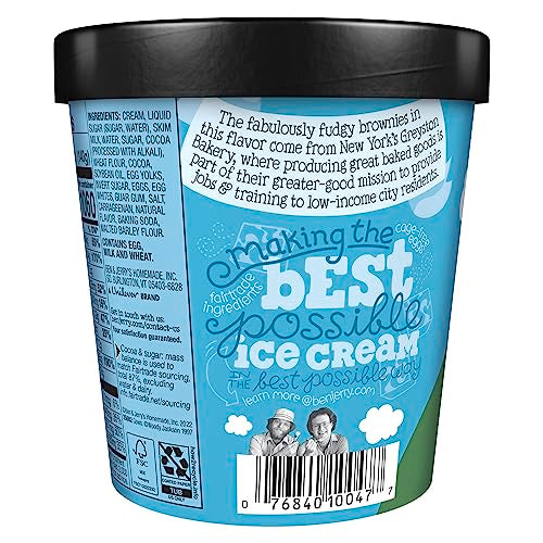Ben & Jerrys Chocolate Fudge Brownie Ice Cream Pint Non-GMO 16 oz