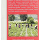 Traditional Medicinals Organic Healthy Cycle Tea 16 Bags