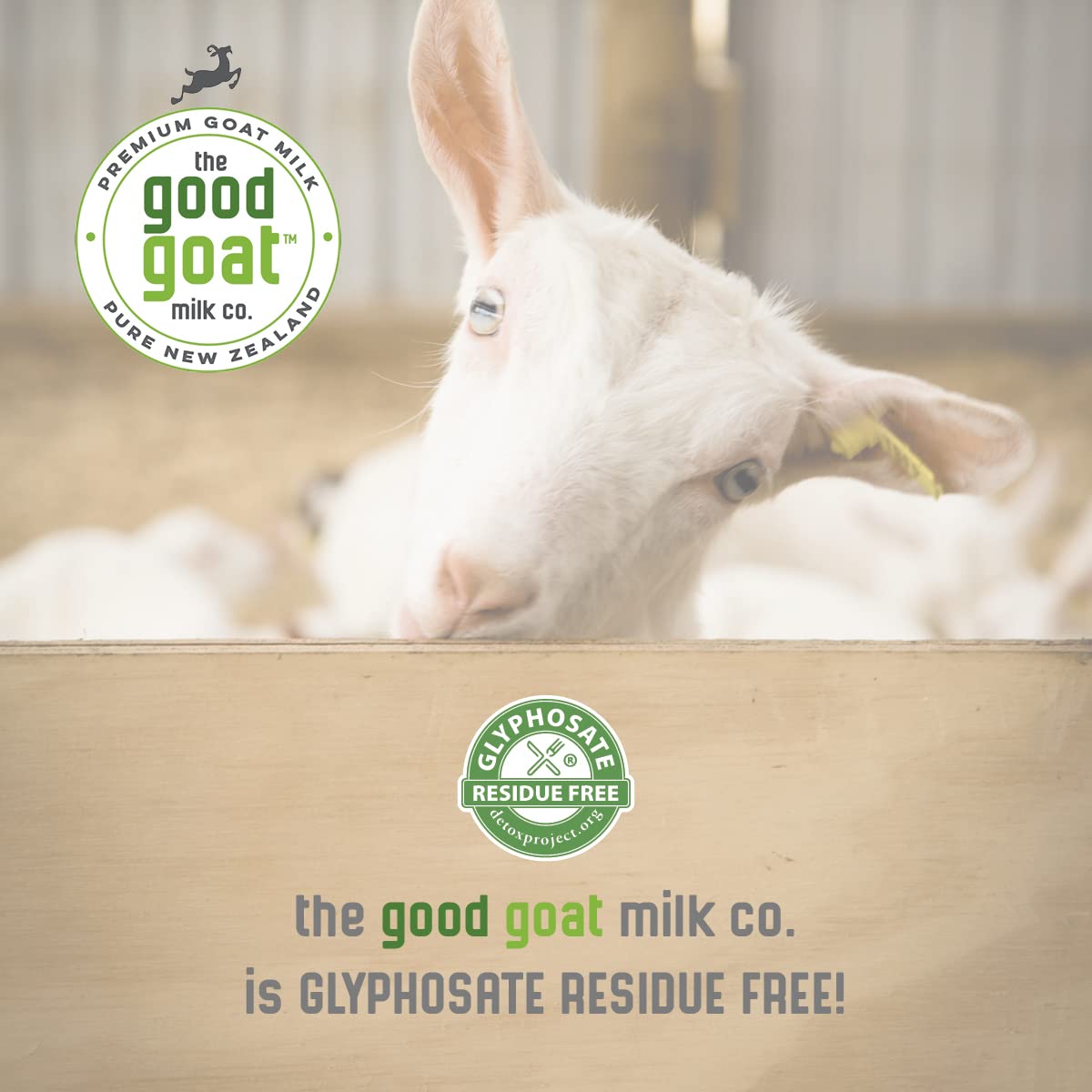 New Zealand Full Cream Goat Milk Powder (Natural) - 14Oz