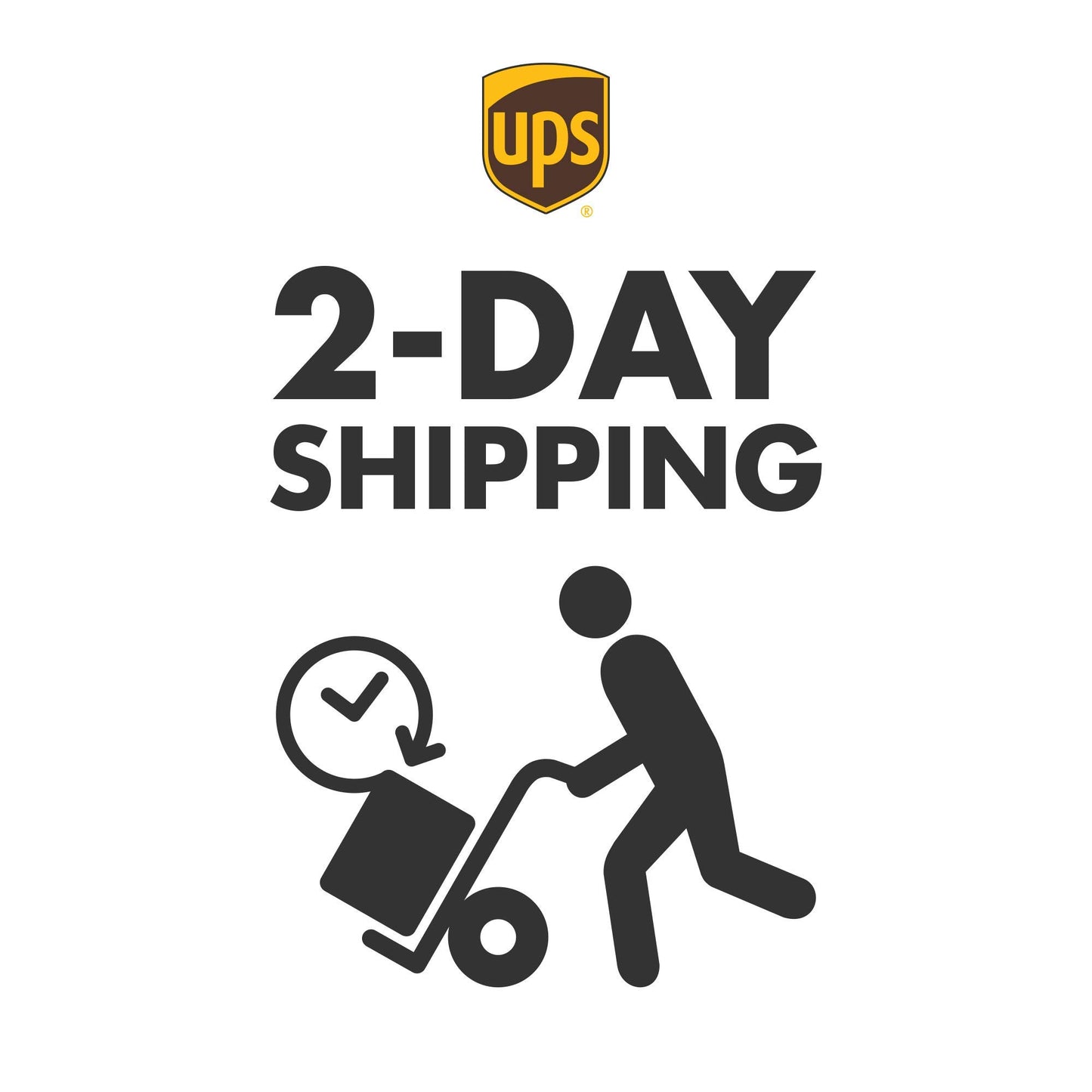 Kaylas Cake Premium French Macarons Gift Basket - 24 Count Gourmet Desserts for Birthdays, Thank You, and Care Packages