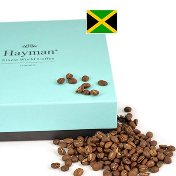 Hayman Coffee, 100% Blue Mountain Coffee From Jamaica, Whole Bean Coffee Medium Roast, Fresh Coffee Beans, 24 Ounces/680 Grams (