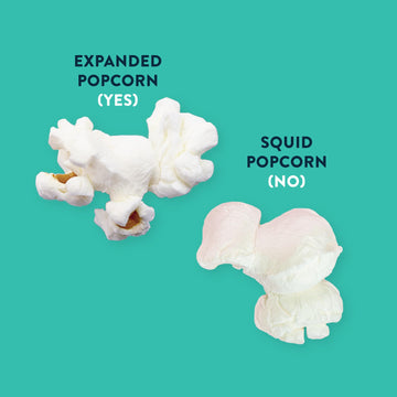 LesserEvil Organic Homers Secret Blend Popcorn, 4.6 OZ
