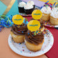 Rollins College Secondary Logo Cupcake Picks Toppers Decoration Set Of 6