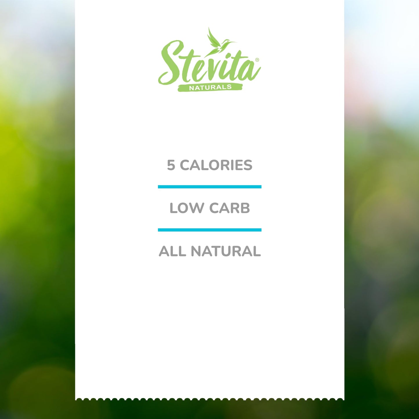 Stevita Cocoa Delight - 4.2 Oz - Natural Cocoa Powder With Stevia - For Smoothies, Desserts & Recipes - Non-Gmo, Vegan, Keto, Pa