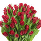 Kabloom Flowers - Mother'S Day Collection - Premium 50 Red Tulips - Wholesale Fresh Flowers I Gift For Birthday, Sympathy, Anniv