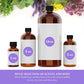 Oil Of Youth Essential Oils 4Oz - Ylang Ylang Essential Oil - 4 Fluid Ounces