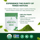 Tenzo Tea Matcha Green Powder, Organic Ceremonial Grade, 1.06 Ounce, Authentic Japanese