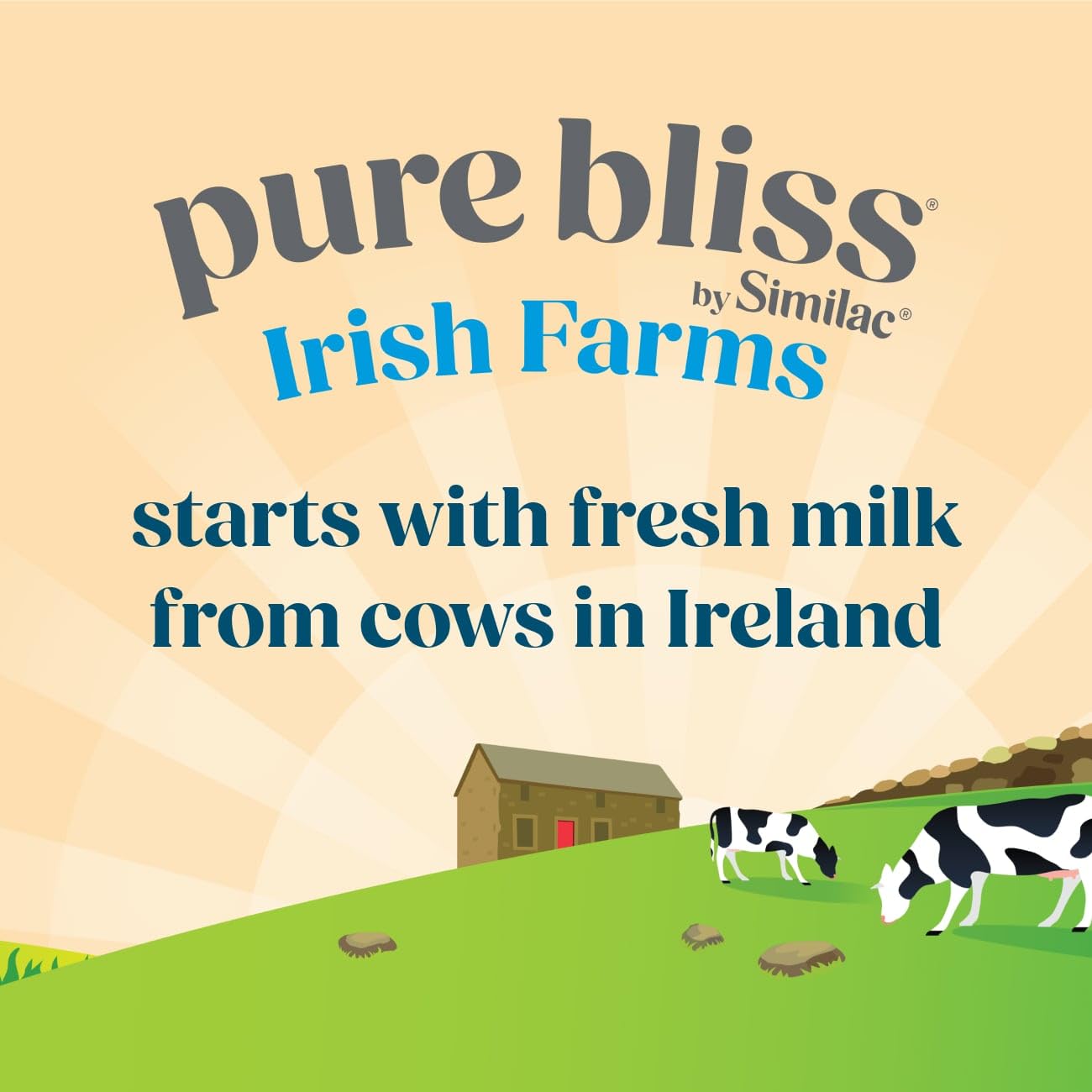 Pure Bliss By Similac Irish Farms Infant Formula, Easy To Digest, Non-Gmo, Powder, 24.7-Oz Can, Pack Of 6