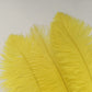 Londgen 10Pcs Natural Ostrich Feathers Plumes 14-16Inch(35-40Cm) For Craft Flower Arrangement Wedding Decoration And Halloween P