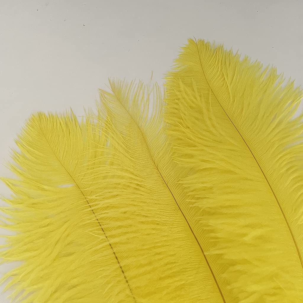 Londgen 10Pcs Natural Ostrich Feathers Plumes 14-16Inch(35-40Cm) For Craft Flower Arrangement Wedding Decoration And Halloween P