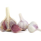 Organic Fresh Purple Garlic By Rawjoy Farms