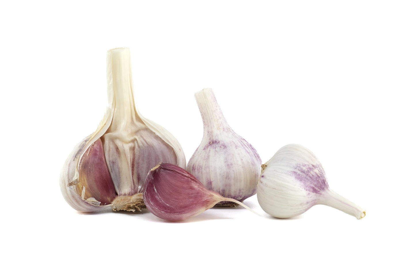 Organic Fresh Purple Garlic By Rawjoy Farms
