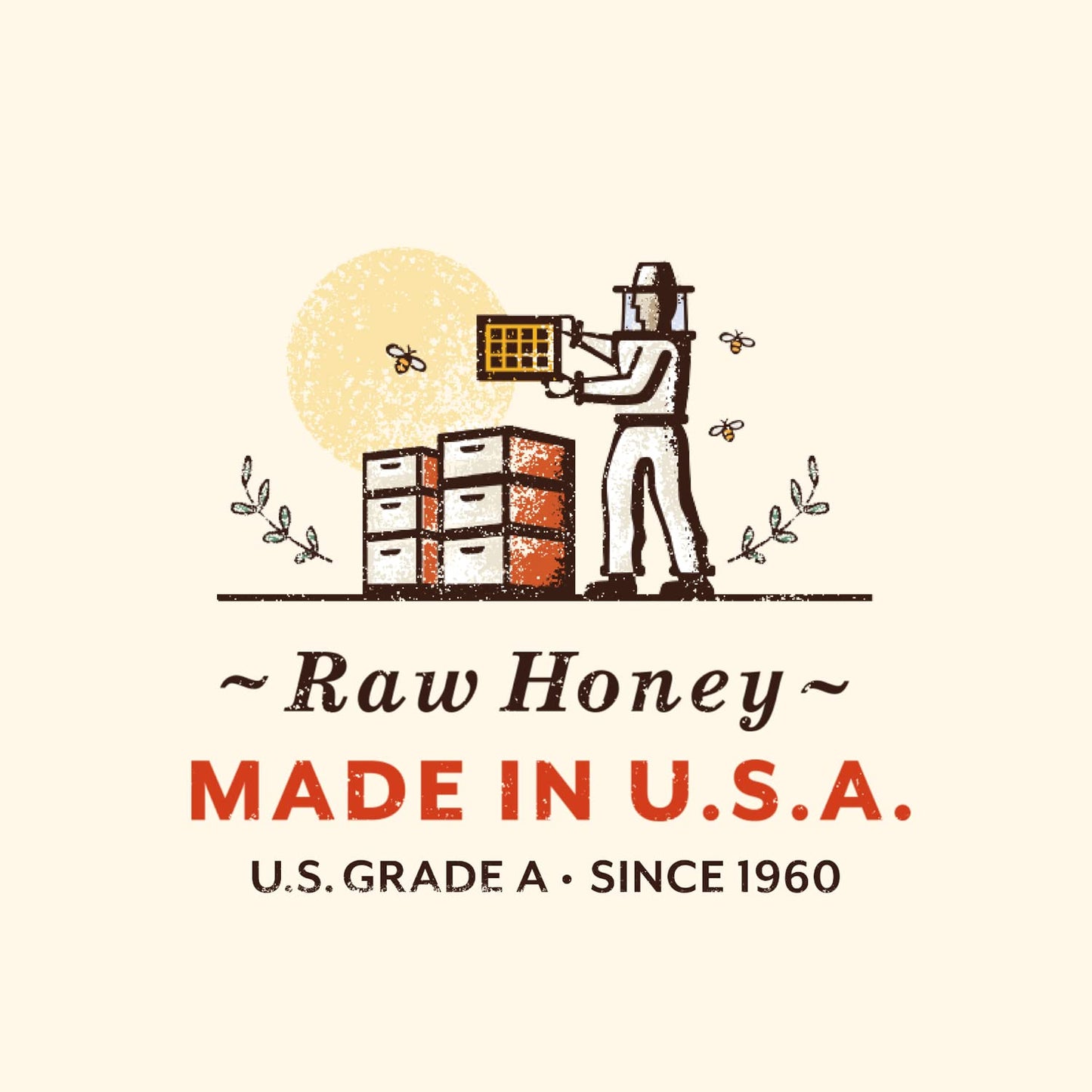 BUSY BEE Raw Unfiltered Honey, Wildflower, 12 oz (Pack of 2)